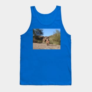 Wild burros, donkeys, wildlife, wild animals Tank Top